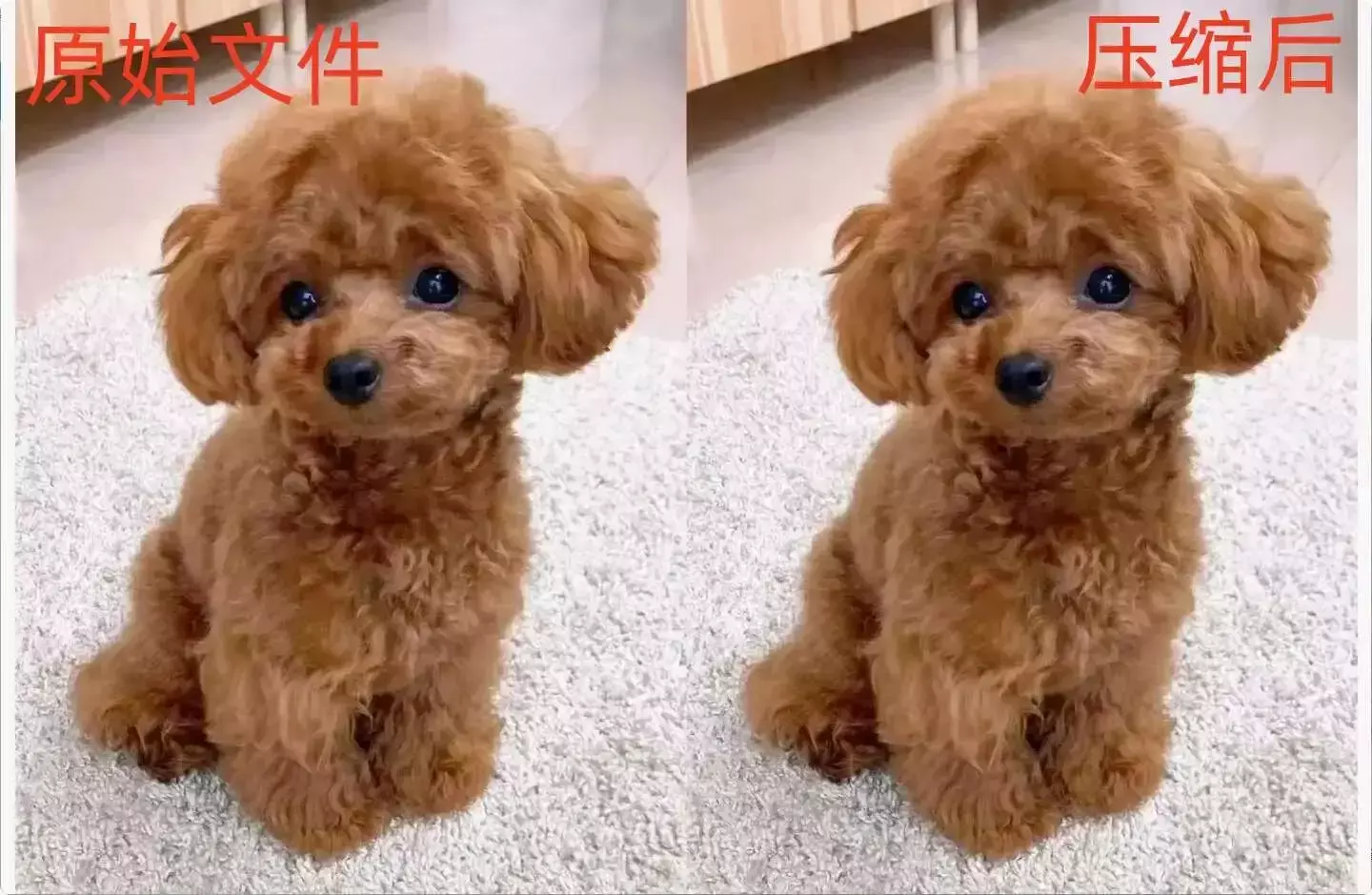 图片[6]-再也不用担心压缩画质！这两款免费图片压缩软件让你轻松搞定    [M143]-码小屋