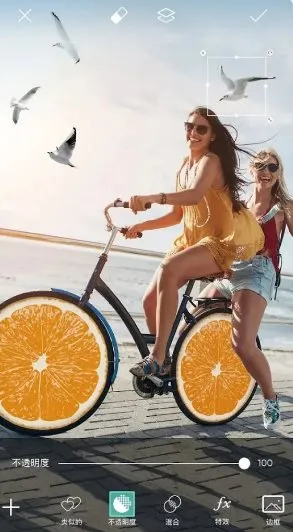 Picsart美易 v29.5.4会员版-码小屋