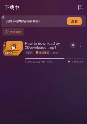 X Downloader X下载器v2.3.6 高级版-码小屋